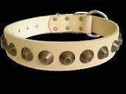 American Bulldog leather dog collar