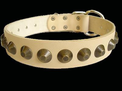 leather dog collar