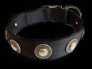 Nylon dog collar