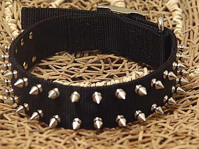 spiked American Bulldog collar