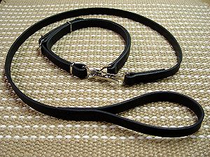 Police dog leash and collar (combo) for American Bulldog