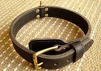 leather dog collar